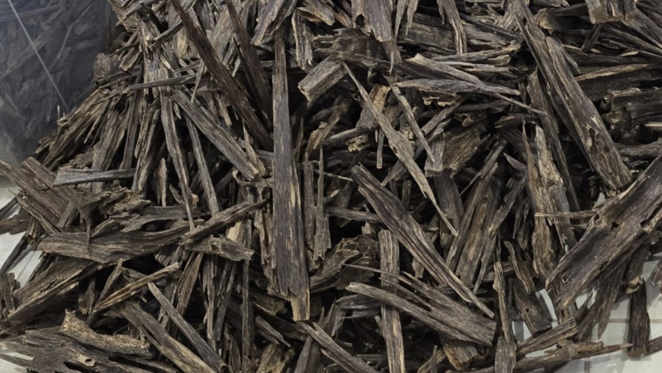 Sylheti Agarwood Oud (Zura) Natural (double super)